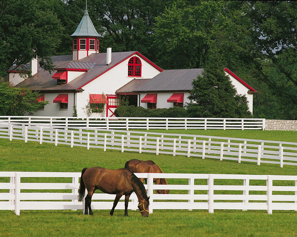 horse paddock fence